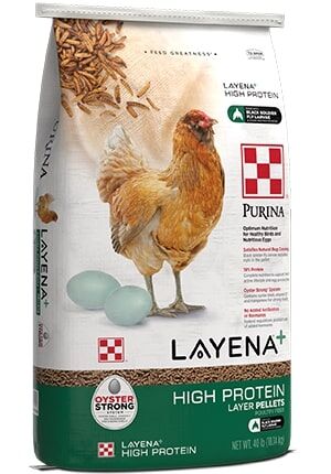Purina Layena + High Protein Layer Feed, 40-Lb