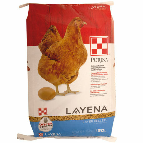 Purina Layena Layer Pellet Feed - 50 lb