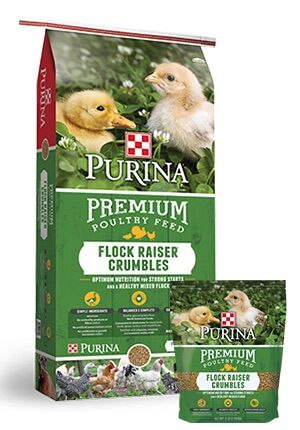 Purina Flock Raiser Crumble, 5-lb bag 