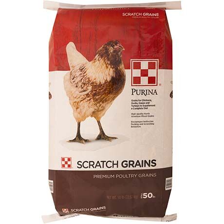 Scratch Grains, 50-Lb