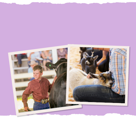 4H & FFA Sign Up!