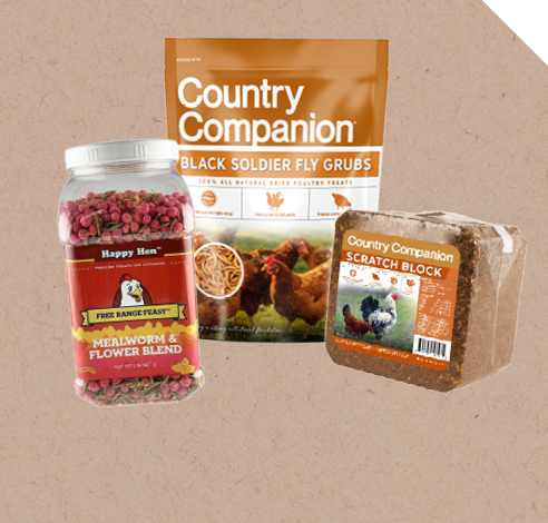 Chick Snacks & Treats