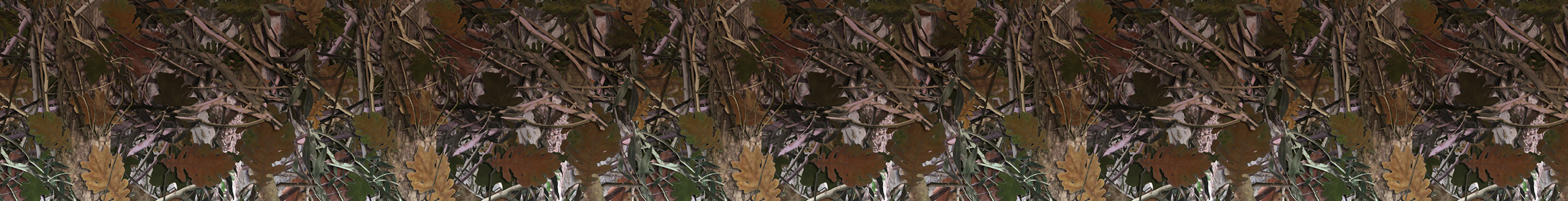 Spring Hunting 