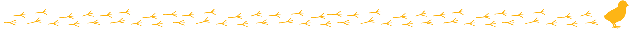 Chicks Ecomm Guide Divider Image