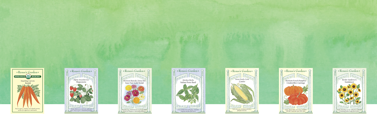 We have garden seeds!