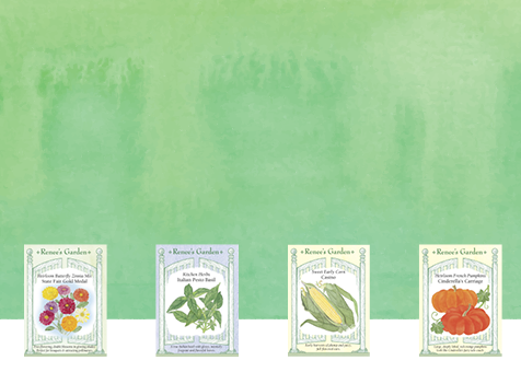 We have garden seeds!