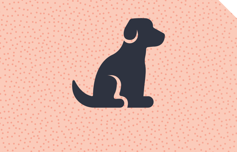 Dog Training