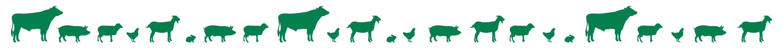 Show Season Animals Icon Images
