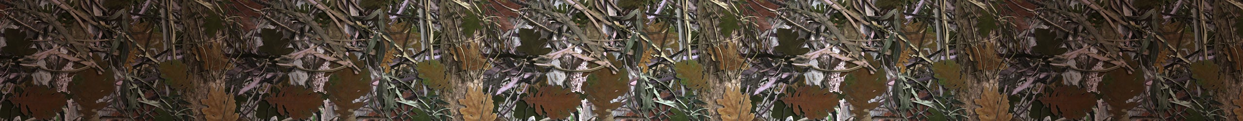 Camo Wear