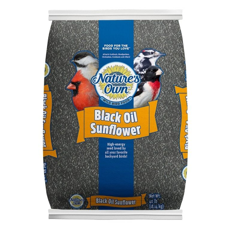 Nature's Own Black Oil Sunflower Bird Seed, 40-Lb