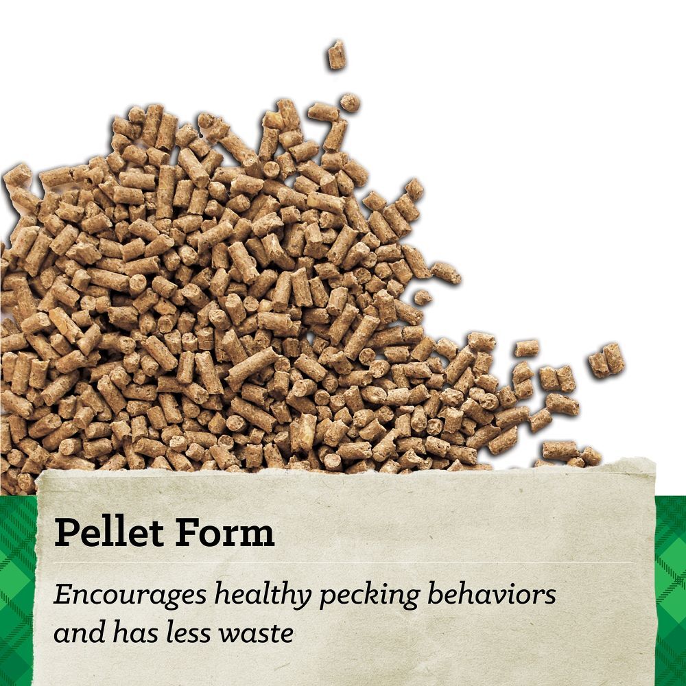 Nutrena NatureWise 20% Protein Feather Fixer Pellet Poultry Feed, 40-Lb