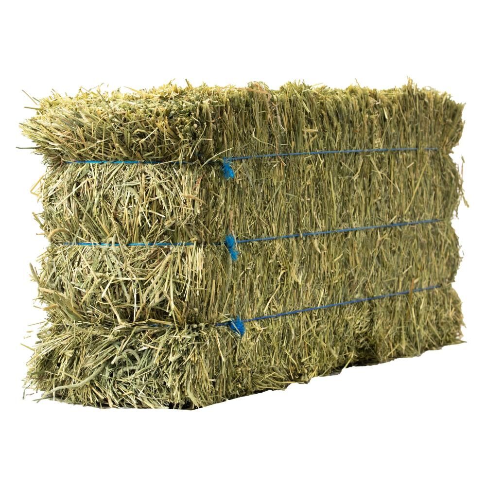 Anderson Hay 3-Tie Timothy Hay Bale, 90-Lb