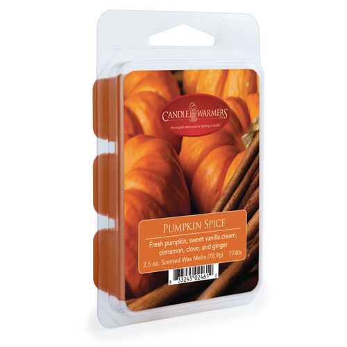 Pumpkin Spice Scented Wax Melts, 6-Ct