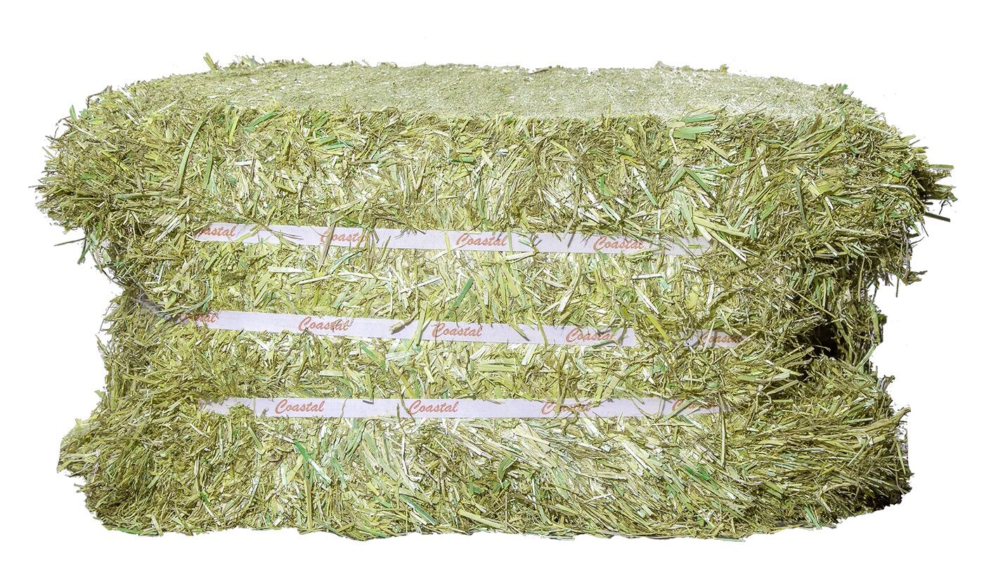 Coastal Compressed Timothy Hay Bale, 55-Lb