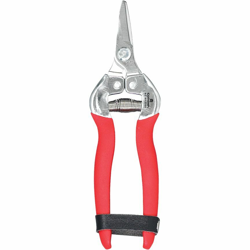 Stainless Steel Curved Snip