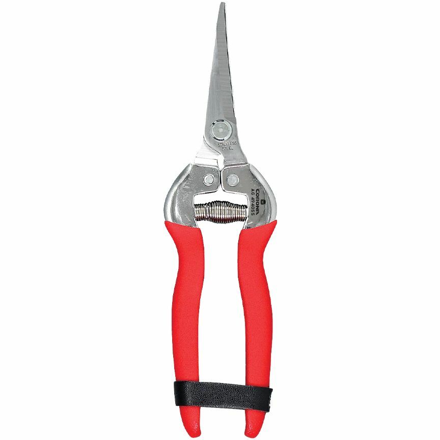 Stainless Steel Curved Snip