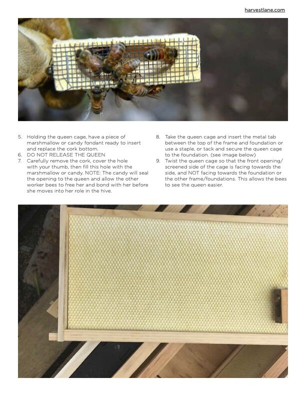 Standard Hive Tool