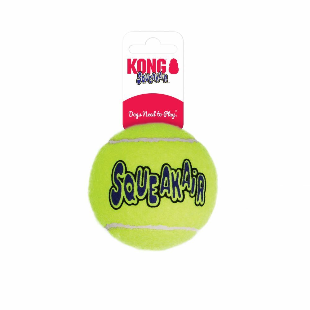 Large SqueakAir® Ball Dog Toy
