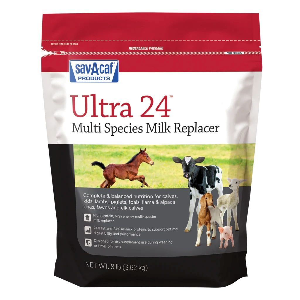 Sav-A-Caf Ultra 24 Multi-Species Milk Replacer, 8-Lb