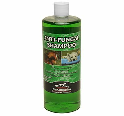 First Companion Anti Fungal Shampoo - 32 oz