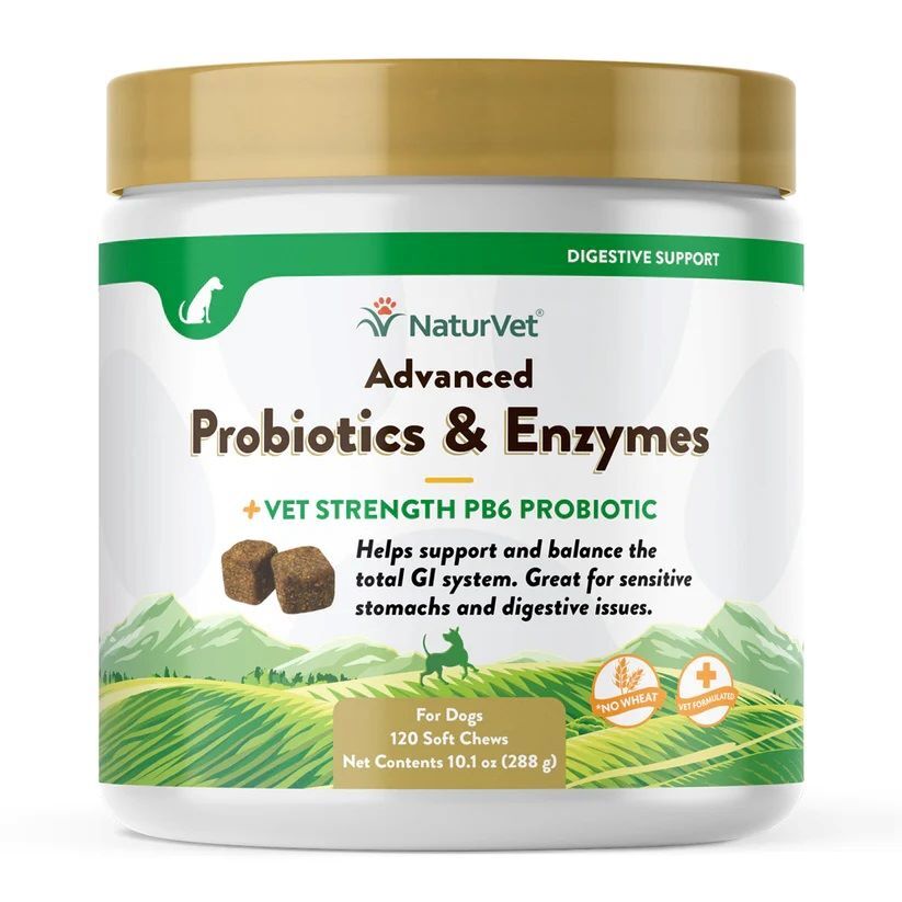 NaturVet Advanced Probiotics & Enzymes Soft Chews, 120-Ct