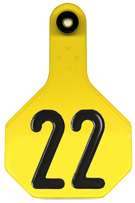 Y-Tex Yellow 3 Star Combo Blank Tags With Button Numbered 1-25