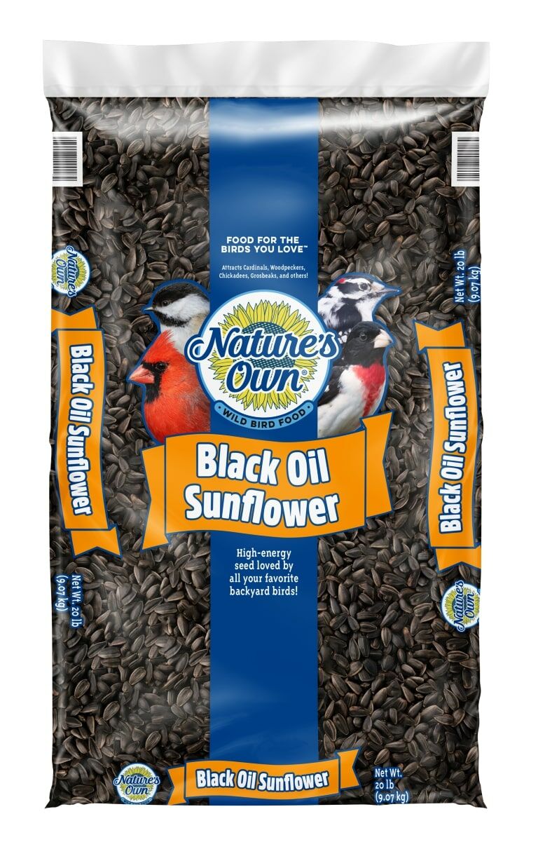 Nature's Own Black Oil Sunflower Bird Seed, 20-Lb