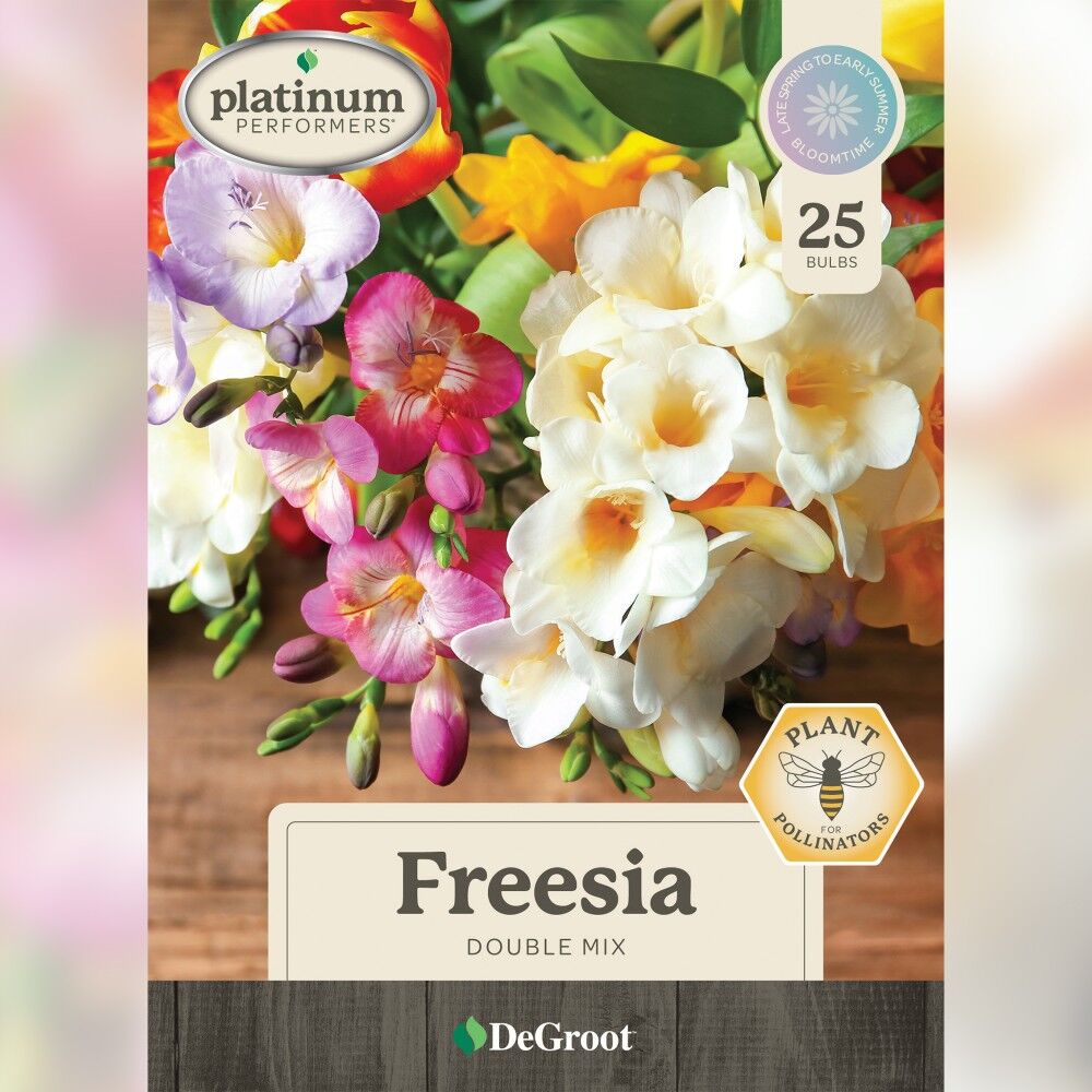 DeGroot Freesia, Double Mix