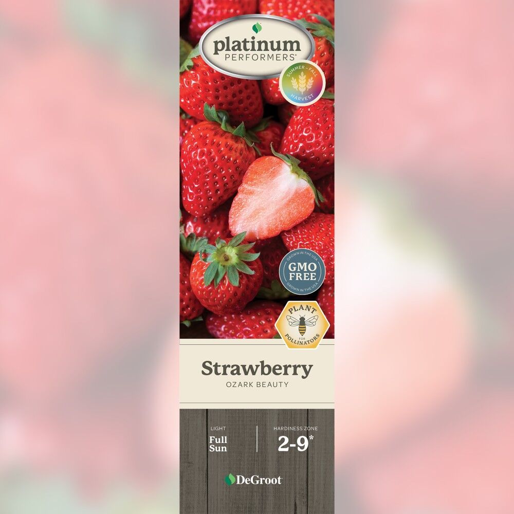 DeGroot Strawberry, Ozark Beauty