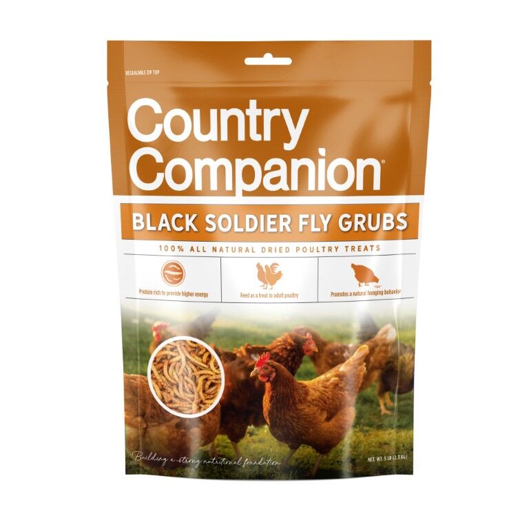 Country Companion Black Soldier Fly Grubs, 5-Lb