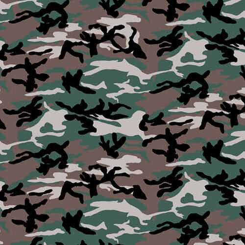 Carolina Creative 22 in Bandana