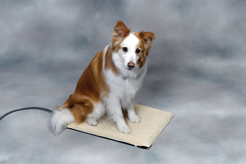 Api Plastic Heated Regular Pet Mat - Black