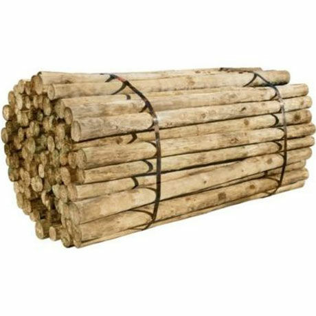 FPD Treated Fence Post, 7-In x 8-Ft