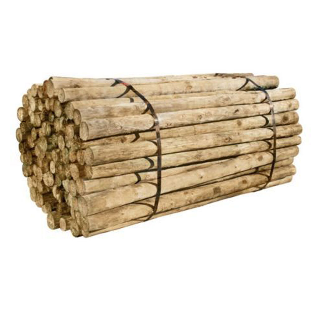 FPD Treated Fence Post, 4-In x 8-Ft