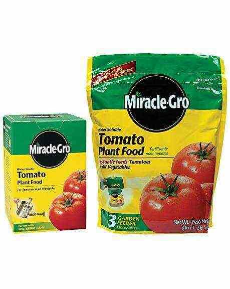 Miracle-Gro Tomato Fertilizer 18-18-21 - 3 lb