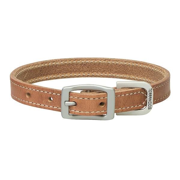 Terrain D.O.G. Harness Leather Dog Collar, 1-In x 23-In