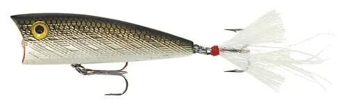 Rebel Lures Rebel Pop-R Tennessee Shad Fishing Lure, 2 1/2-In