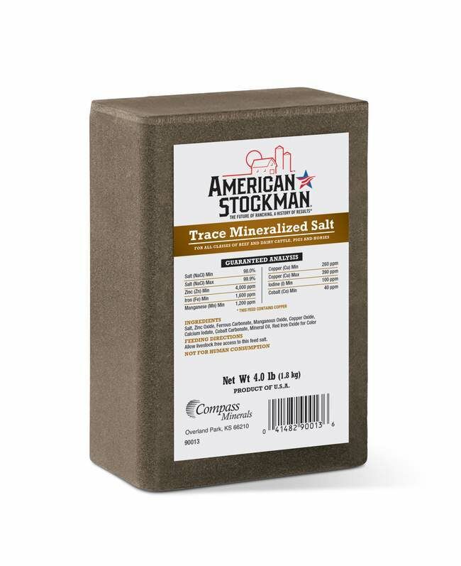 American Stockman Trace Mineralized Salt Block, 4-Lb