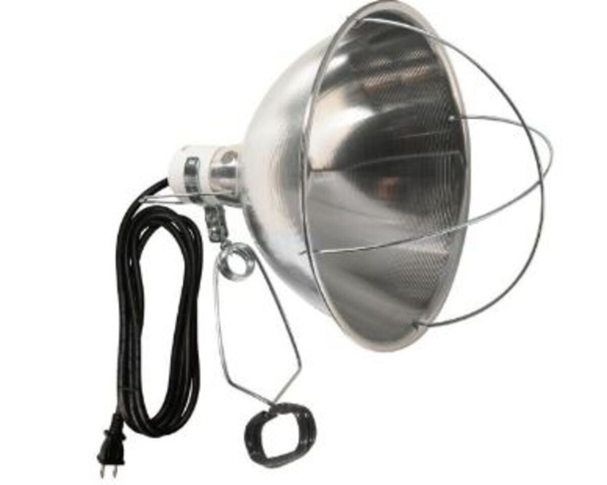 Southwire Brooder Clamp Light With 8-Ft Cord & Heavy Duty Clamp & Hook, 300-W