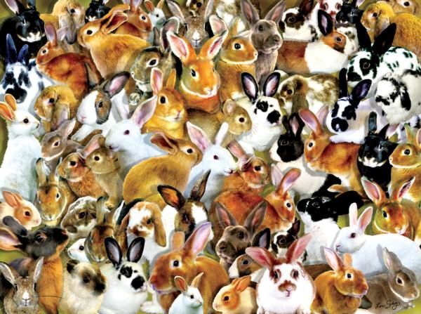 SunsOut A Bundle of Bunnies Puzzle, 1000-Pc