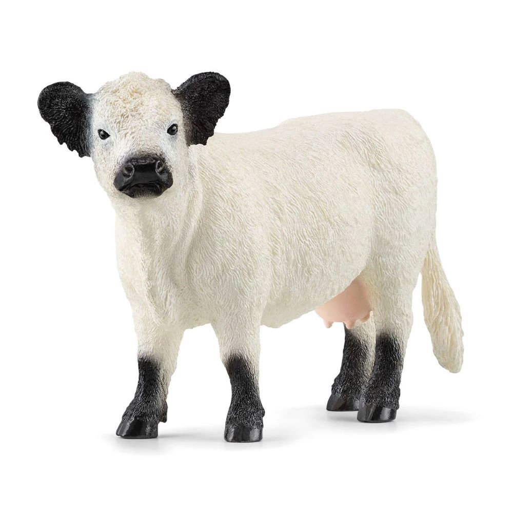 Schleich Galloway Cow Toy