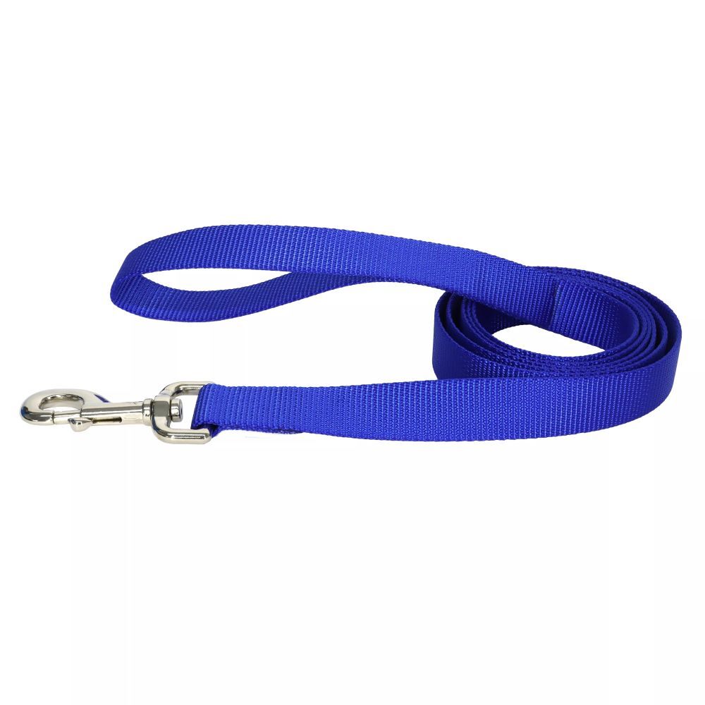 Coastal Pet Products Blue Single-Ply Dog Leash, 3/8-In x 6-Ft