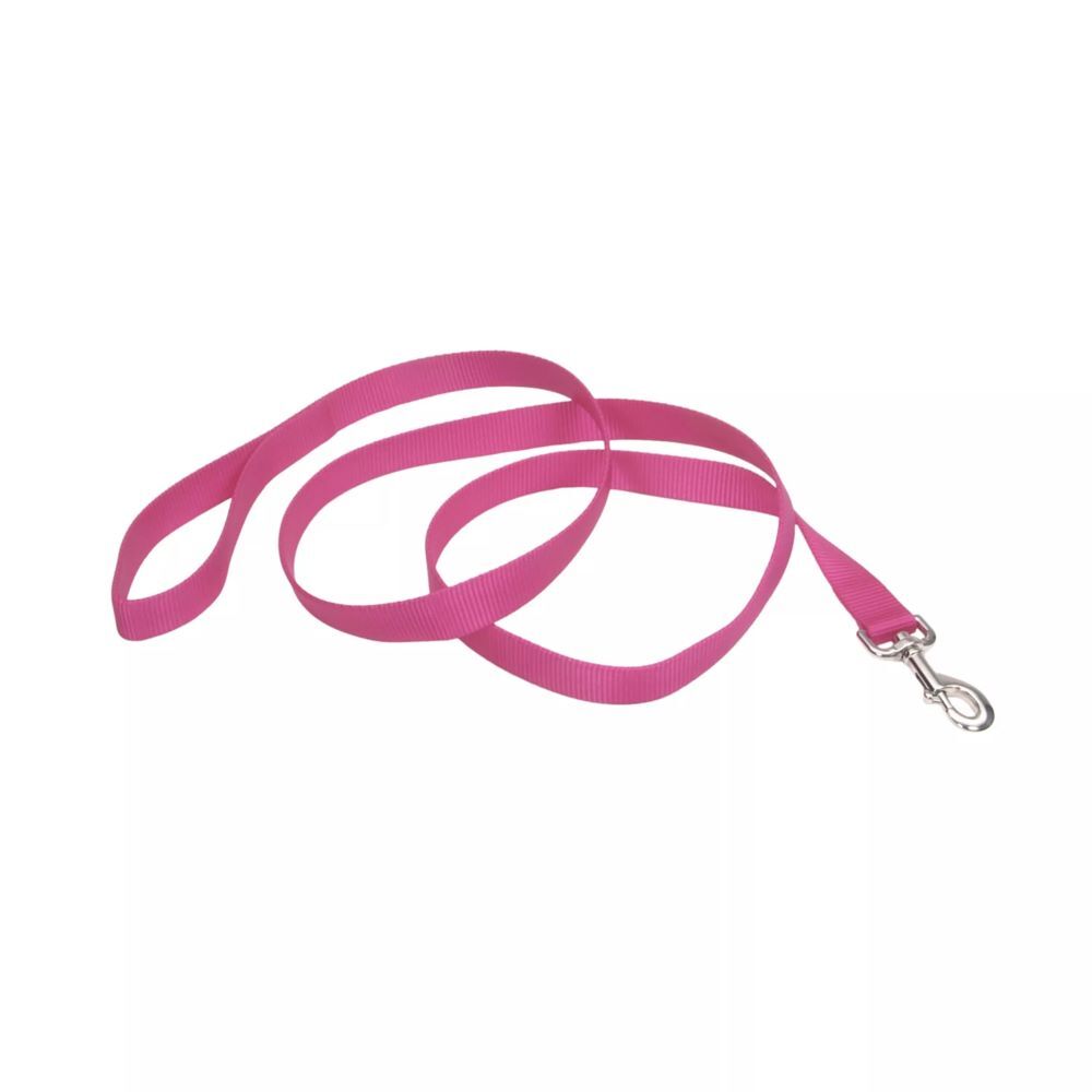 Coastal Pet Products Neon Pink Single-Ply Dog Leash, 3/8-In x 6-Ft