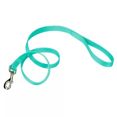 Coastal Pet Products Teal Single-Ply Dog Leash, 3/8-In x 6-Ft
