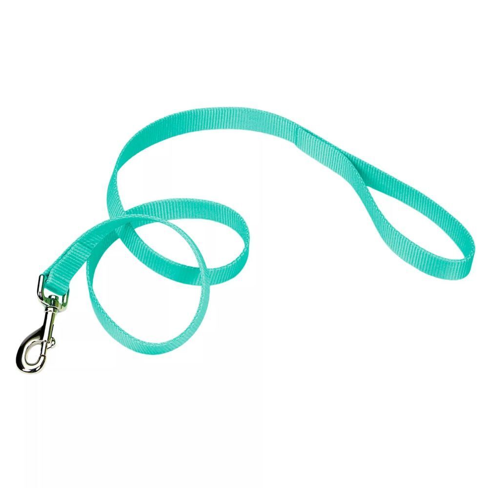 Coastal Pet Products Teal Single-Ply Dog Leash, 5/8-In x 6-Ft