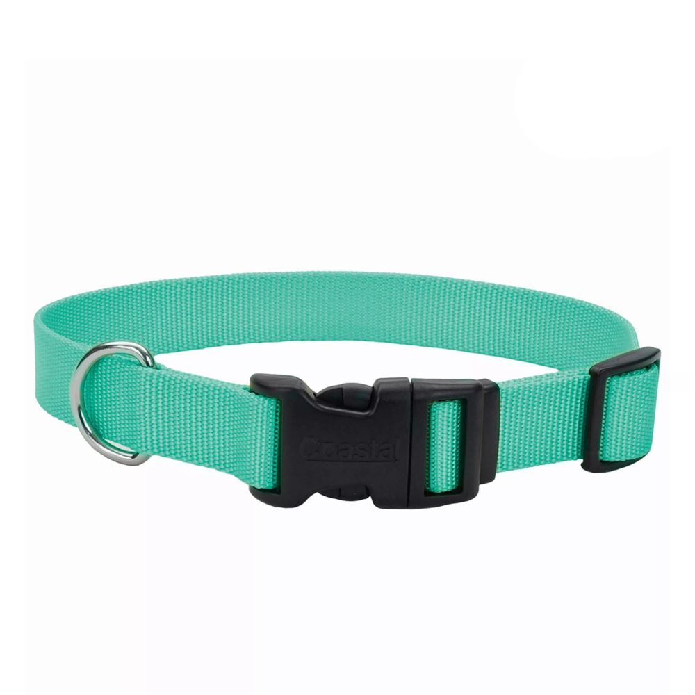Coastal Pet Products Small Teal Adjustable Dog Collar with Plastic Buckle