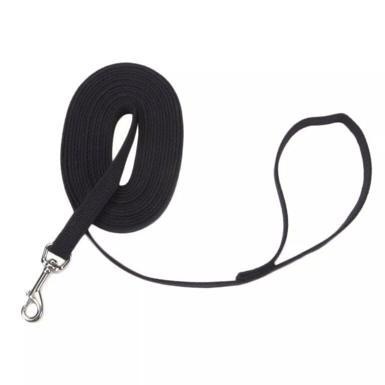 Costal Pet Train Right! Black Cotton Web Dog Training Leash, 10-Ft