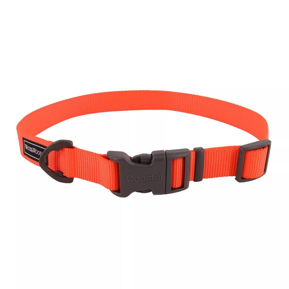 Coastal Pet Water & Woods Orange Adjustable Dog Collar, Medium