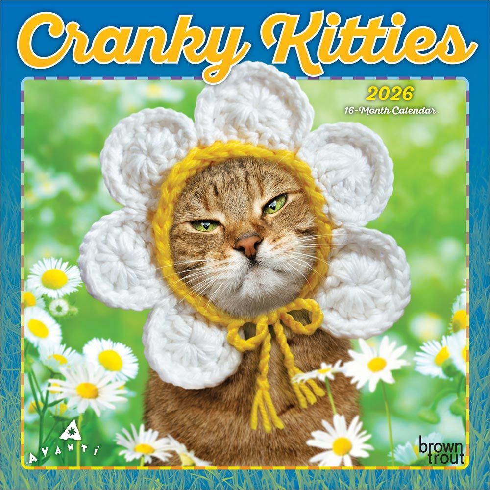 Brown Trout Publisher 2026 Avanti Cranky Kitties Monthly Mini Wall Calendar, 7-In x 14-In