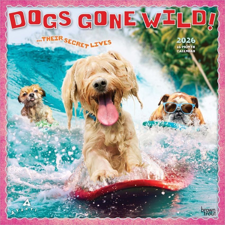 Brown Trout Publisher 2026 Avanti Dogs Gone Wild Monthly Square Wall Calendar, 12-In x 24-In